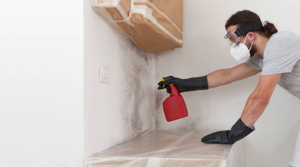 Professional Black Mold Removal technician working in Howell, NJ