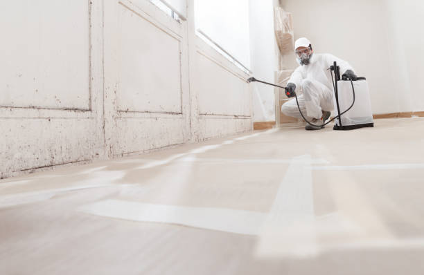 24/7 Emergency Black Mold Removal experts in Howell, NJ